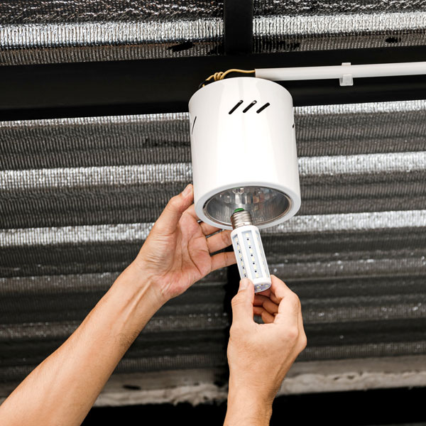 man fitting bulb into the holder